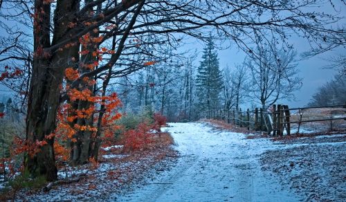 way forest beskids