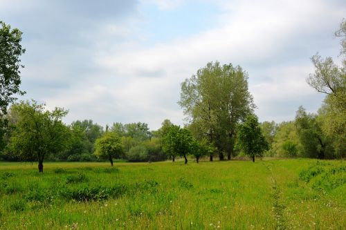 way meadow landscape