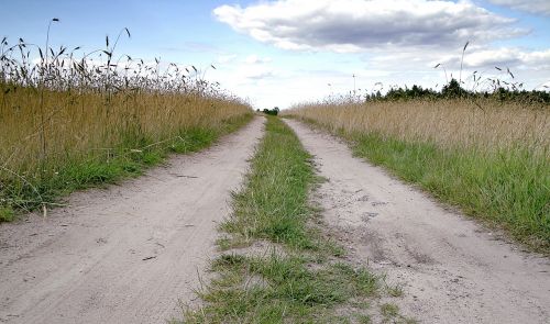 way field the path