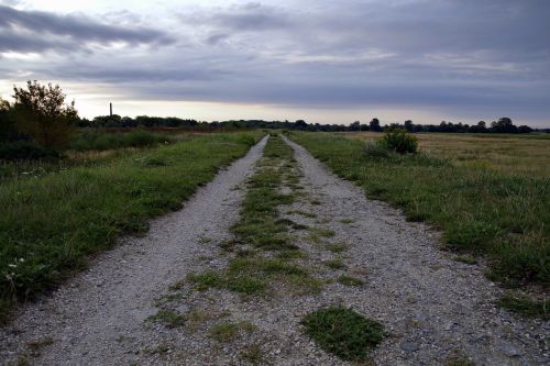 way field pebble