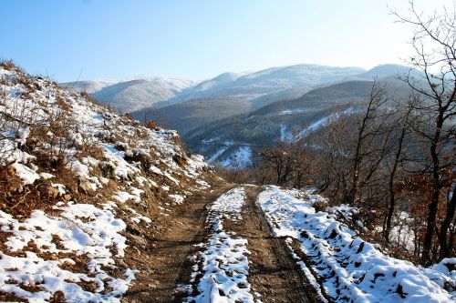 way trail dirt road