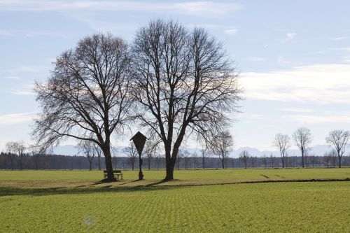 wayside cross spring trees