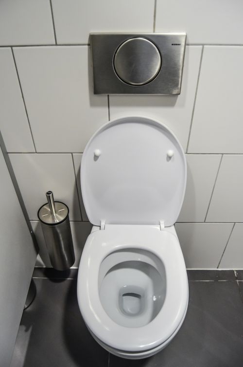 wc toilet purely