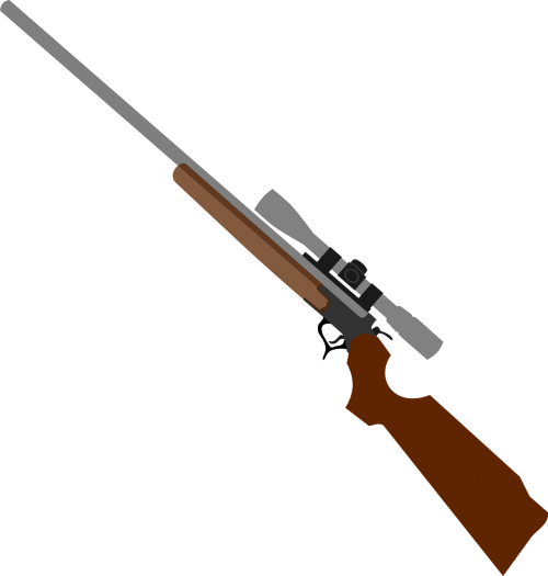 weapon rifle gun