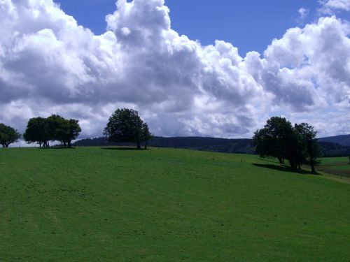 weather book schauinsland black forest