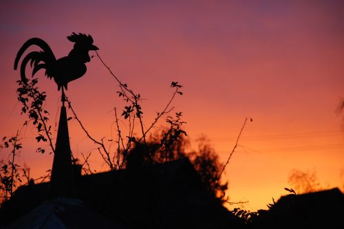 weather vane red sky back light