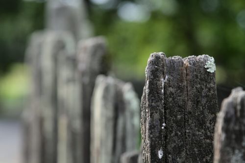 weathered fence old fence wood