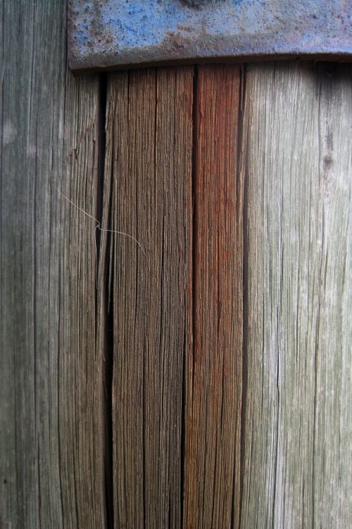 Weathered Wood Pole