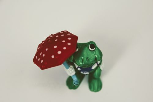 weatherman green frog