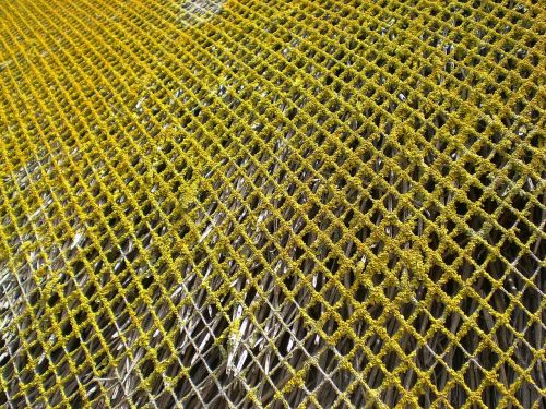 weave grid network
