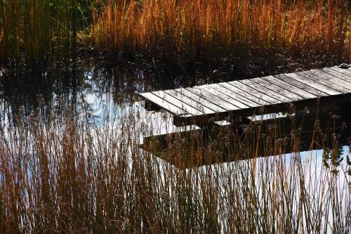 web pond water