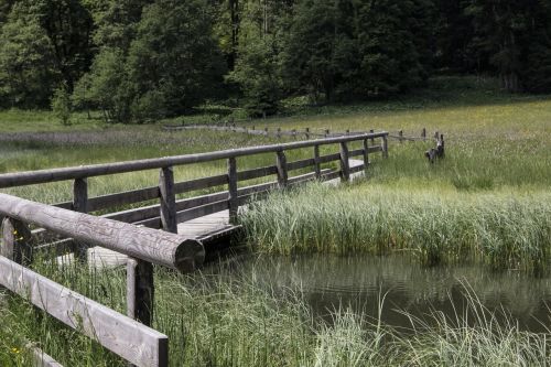 web bridge water