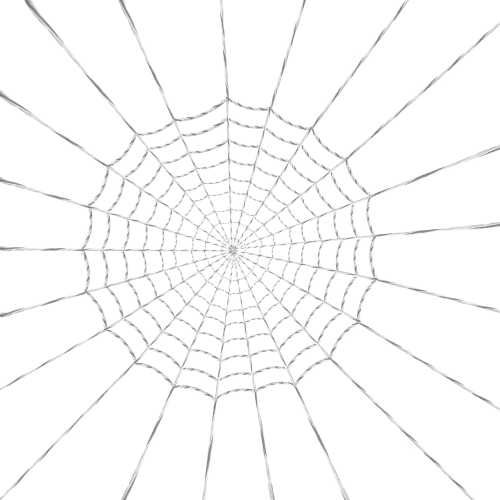 web spider woven