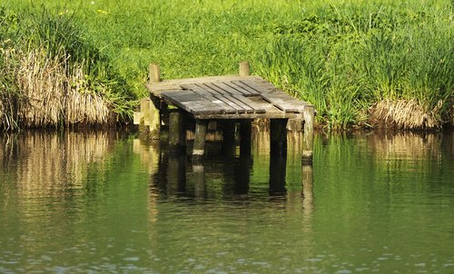 web  waters  nature