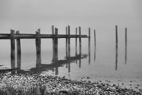 web  lake  fog