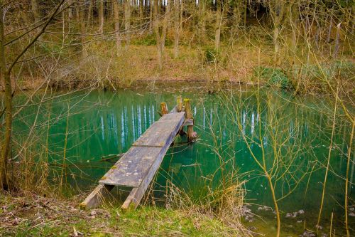 web lake pond