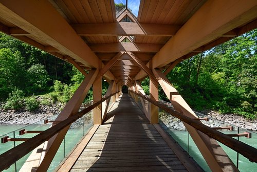 web  wood  bridge