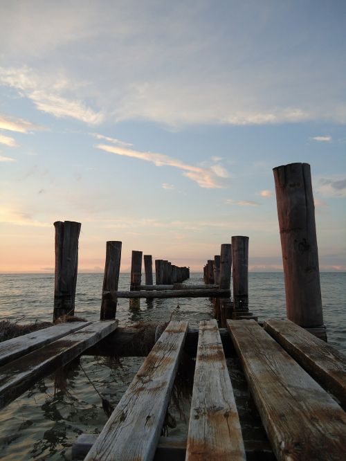 web sea wooden posts