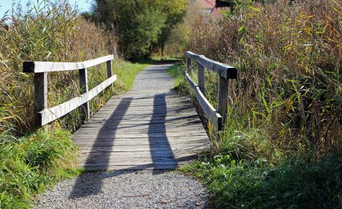 web bridge wood