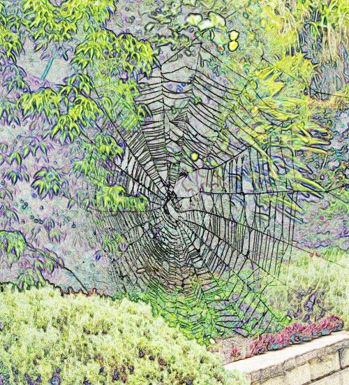 web spider trap