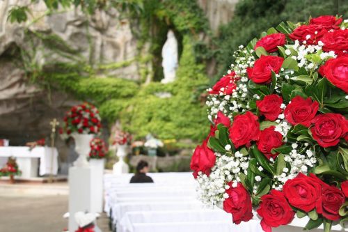 weddding day rose red