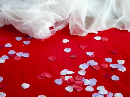 wedding petals decor