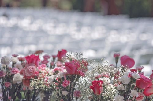 wedding roses carnations