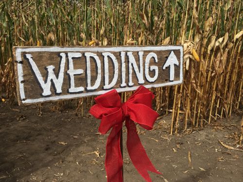 wedding corn field rustic