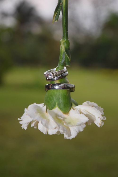 wedding flower white