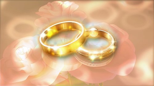 wedding  rings  gold
