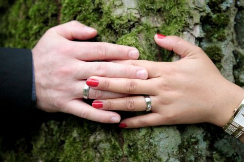 wedding wedding ring love