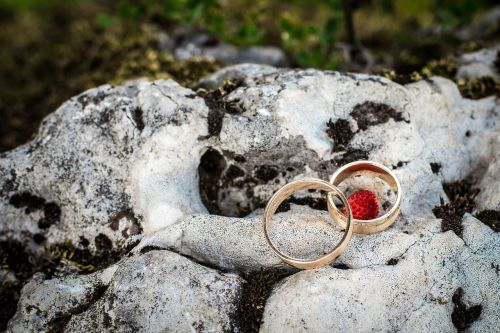 wedding rings wedding young couple