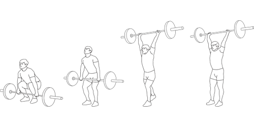 weightlifting  sports  muscle