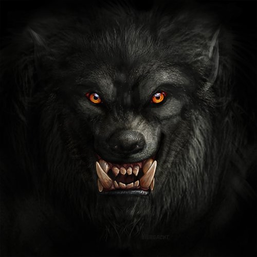 werewolf  wolf  monster