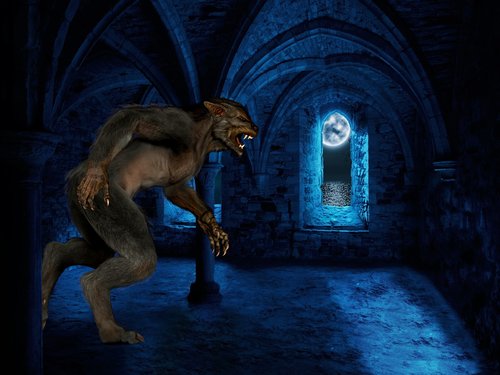 werewolf  luna  castle