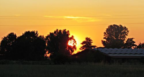 west the sun field