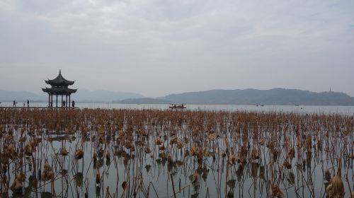 west lake lake lotus