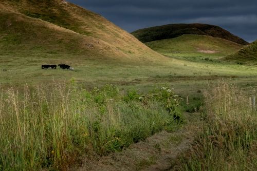 west marin pt reyes