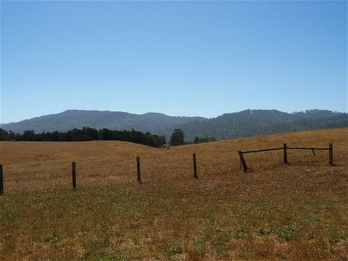 West Marin Landscape