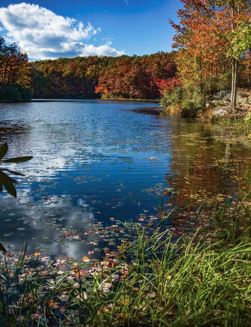 west virginia  lake  wv