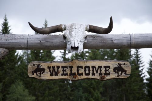 western horns ranch