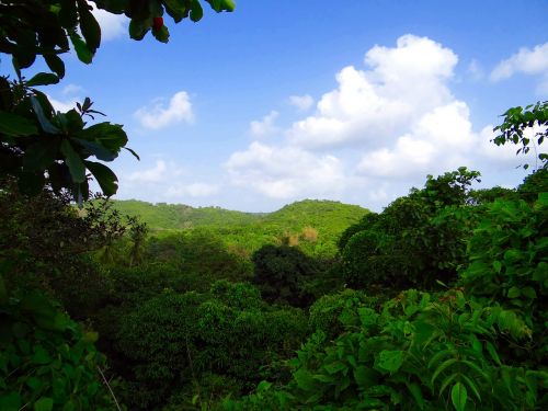 western ghats mountains nature