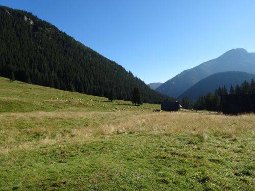 western tatras mountains chochołowska valley