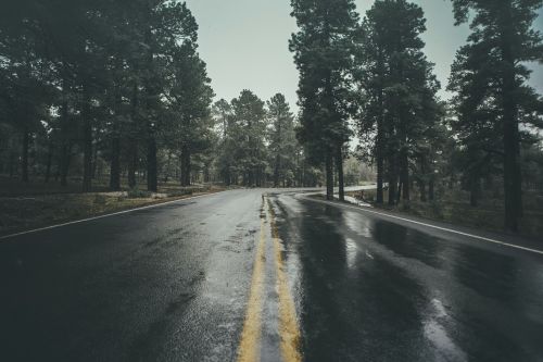 wet road rain