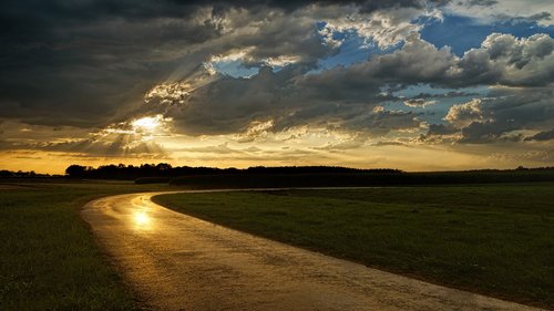 wet  rain  road