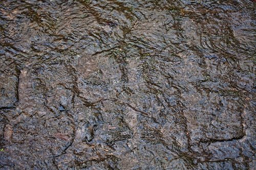 wet  paving stones  rain