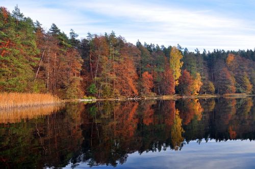 wet lake november autumn