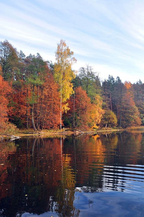 wet lake november autumn