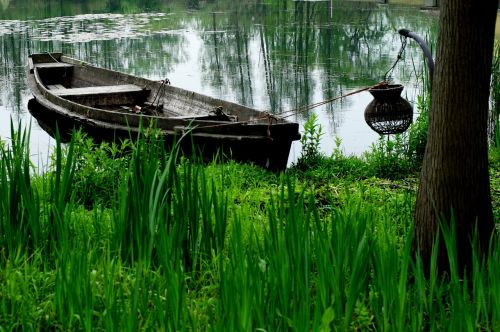 wetlands wooden boat fishing