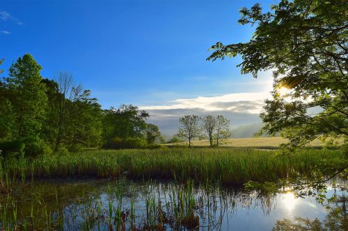 wetlands sunrise nature